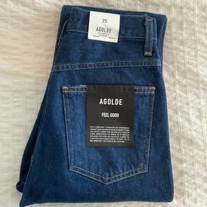 Agolde Pinch Waist High-Rise Kick